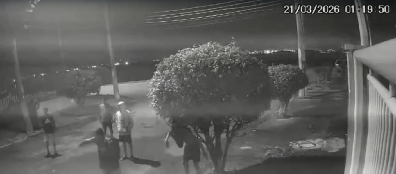 Homem preso por agredir capivara no Rio é reconhecido por ataque semelhante dias antes