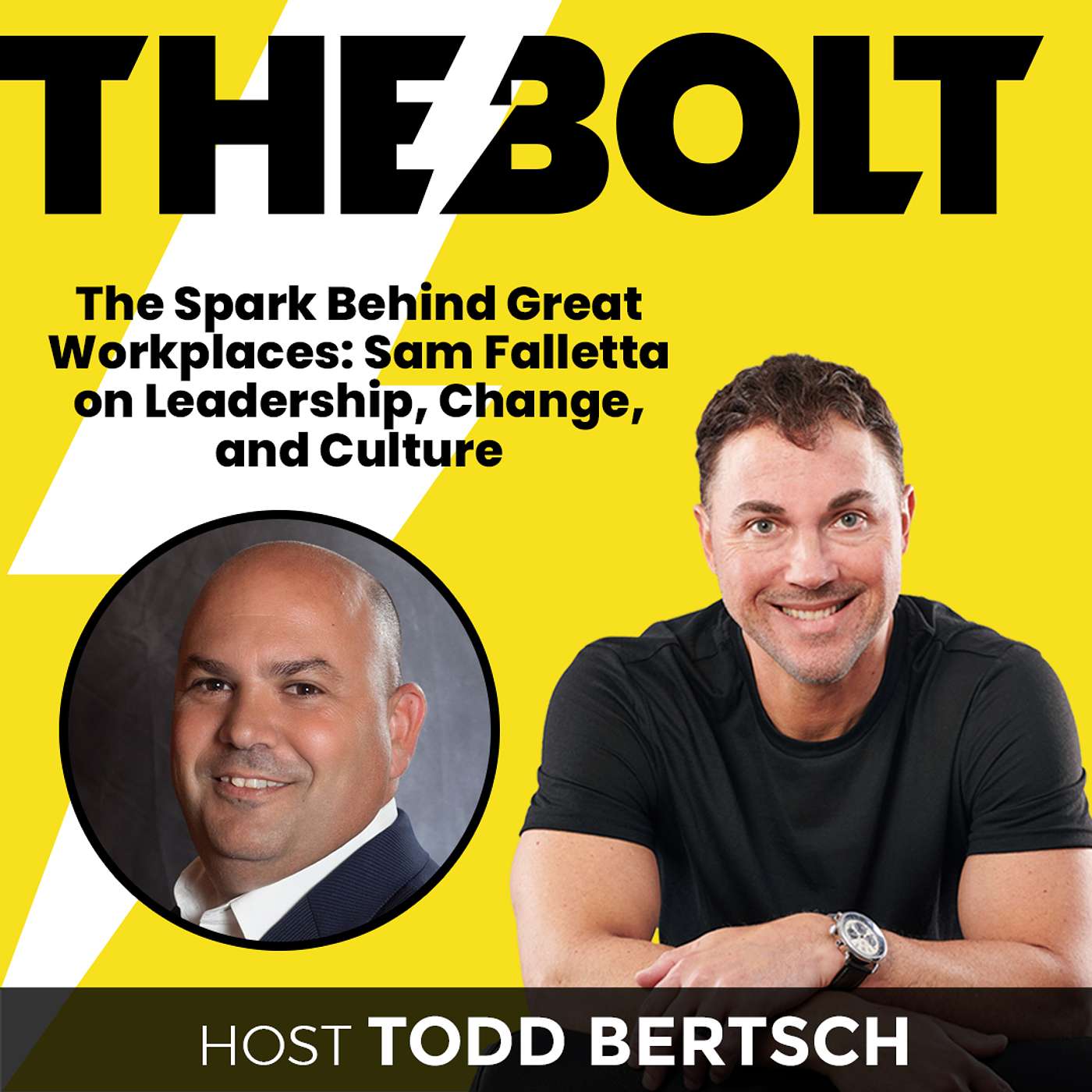 The Spark Behind Great Workplaces: Sam Falletta on Leadership, Change, and Culture episode artwork