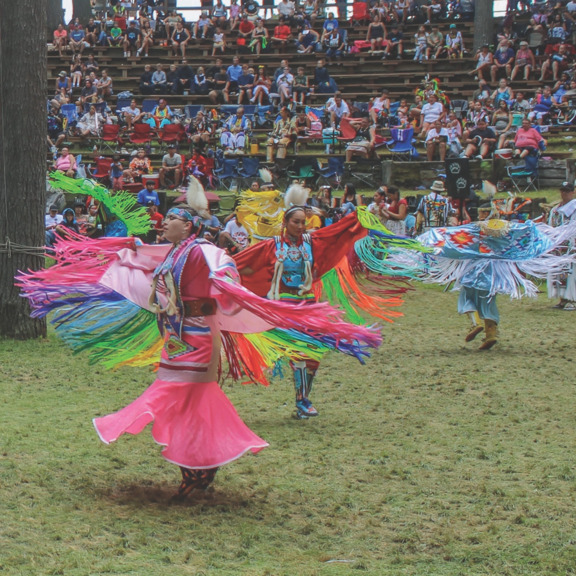 Armchair Explorer: Travel and Adventure Inspiration