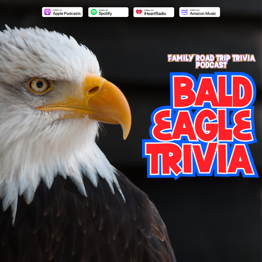 Bald Eagle Trivia - Episode 230