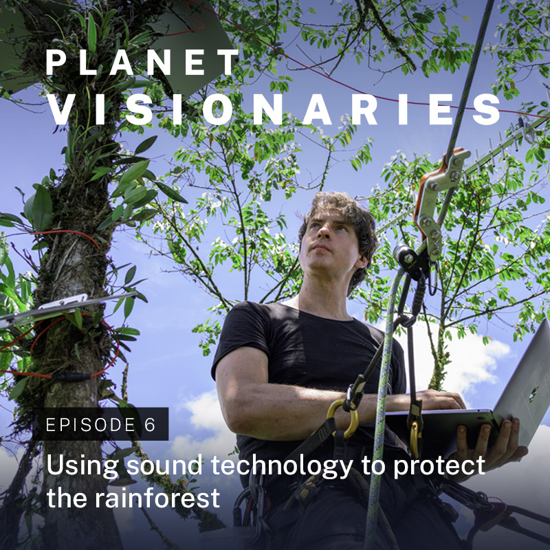 Using sound technology to protect the rainforest