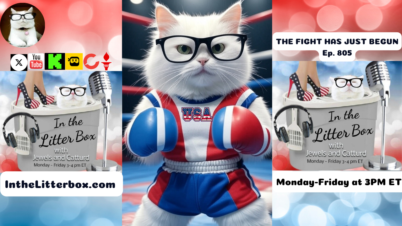 THE FIGHT HAS JUST BEGUN | In the Litter Box w/ Jewels & Catturd – Ep. 805 – 5/19/2025