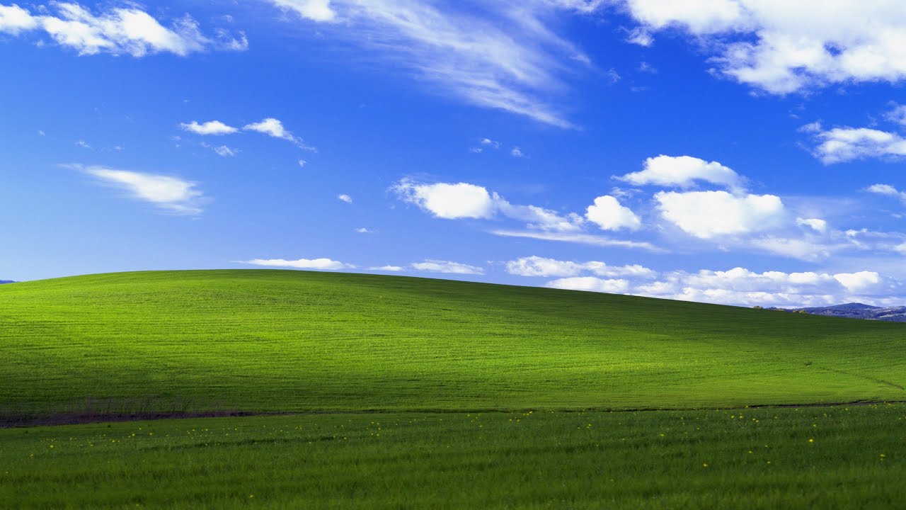 How This Wallpaper Conquered The World | Logically Answered