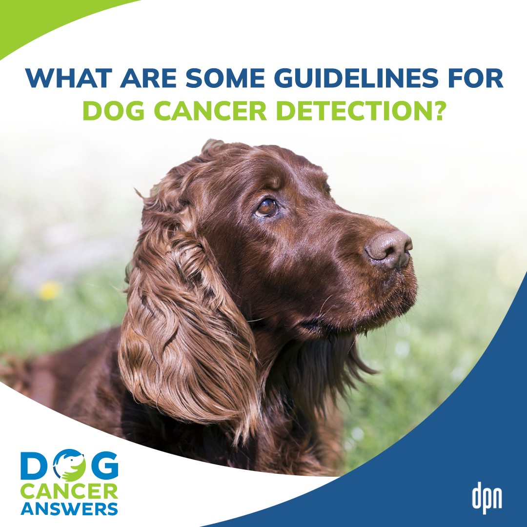 What Are Some Guidelines for Dog Cancer Detection? Q&A | Dr. Brooke Britton #174