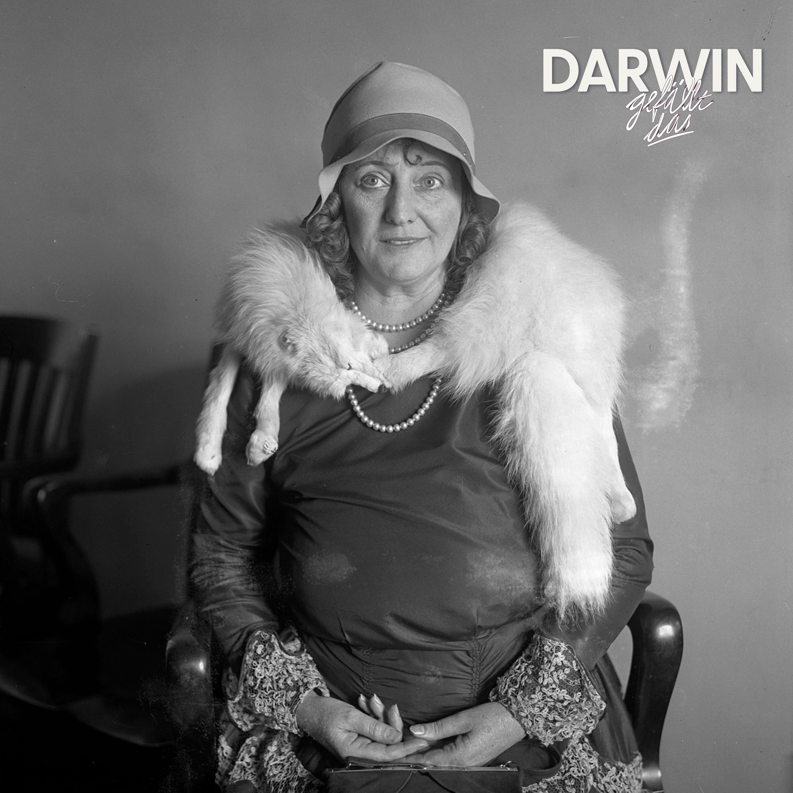 Hör mal wer da hämmert