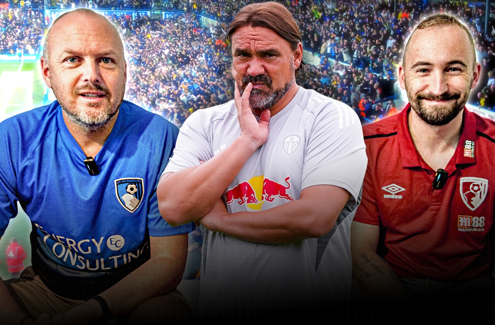 Back Of The Net - The AFC Bournemouth Podcast