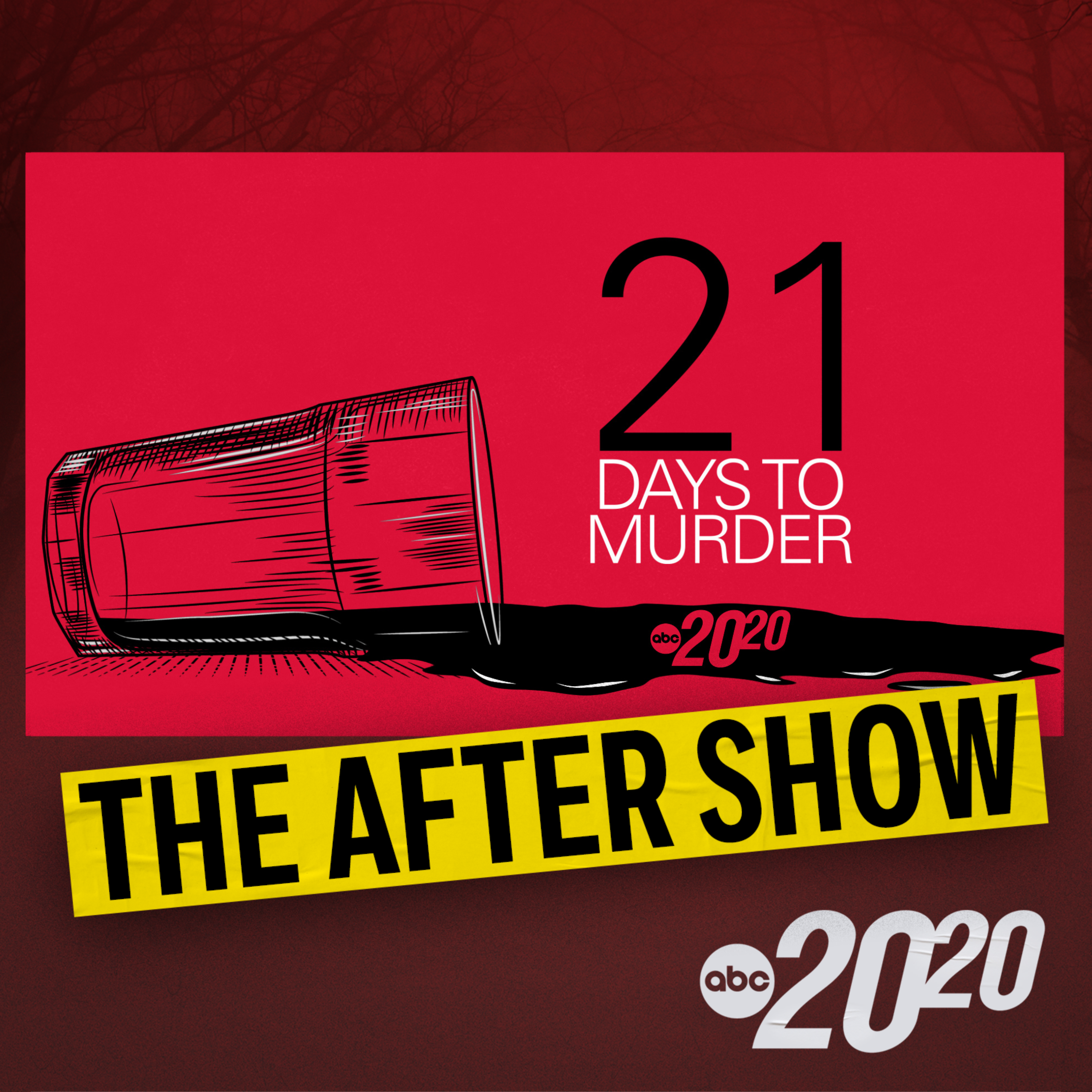 The After Show: 21 Days to Murder