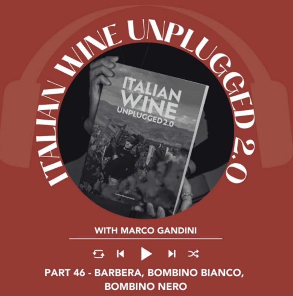 Marco Gandini Narrates Pt. 46 | Italian Wine Unplugged 2.0