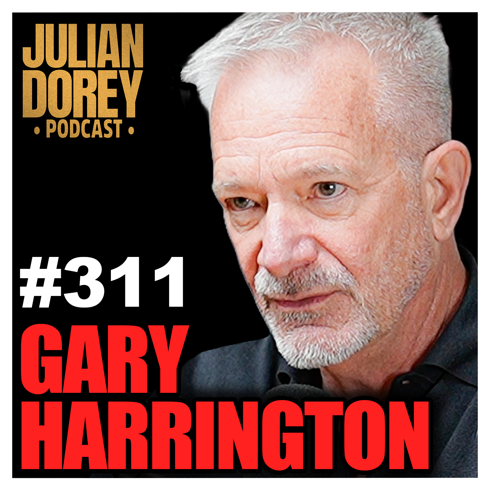 #311 - Delta Force Spy on Hunting Bin Laden, Warlords & Double Agents | Gary Harrington