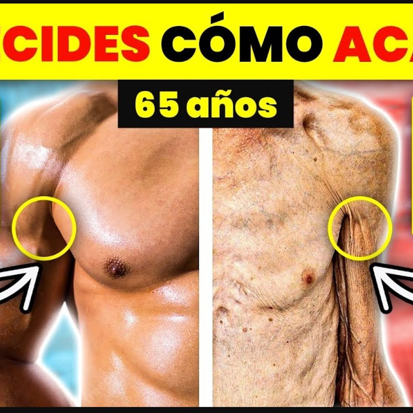 Portada de Dr. Borja Bandera