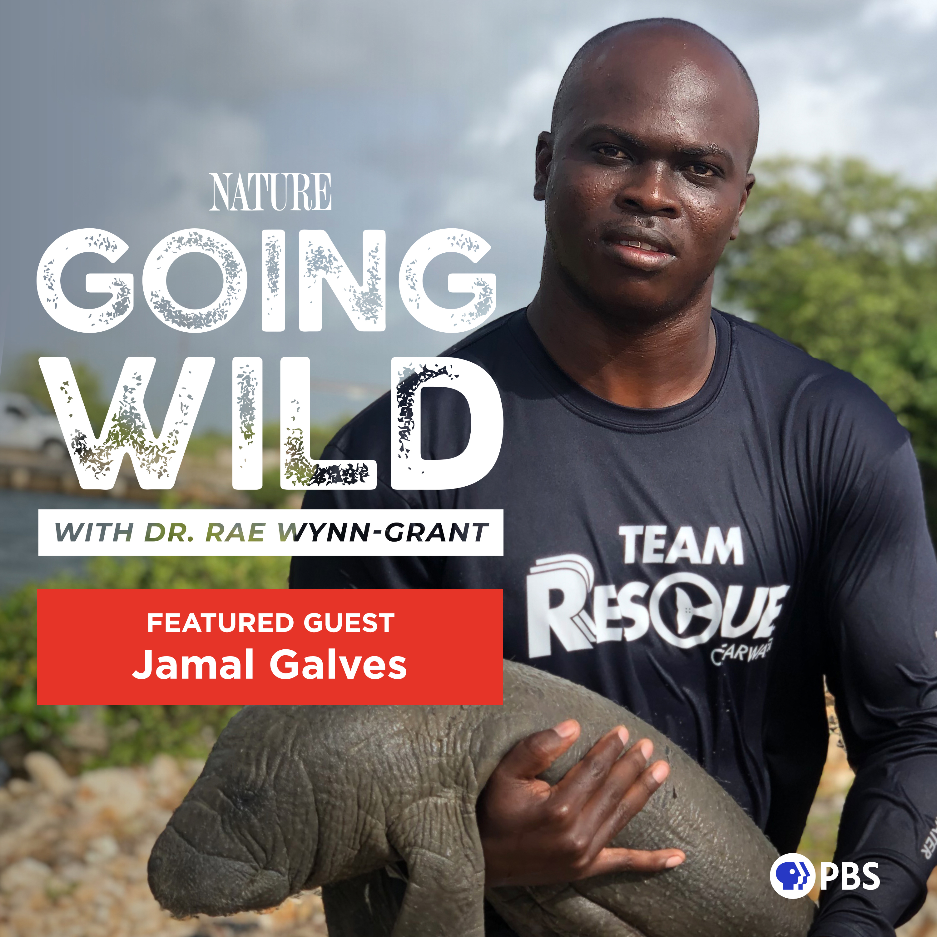 Meet "The Manatee Man"