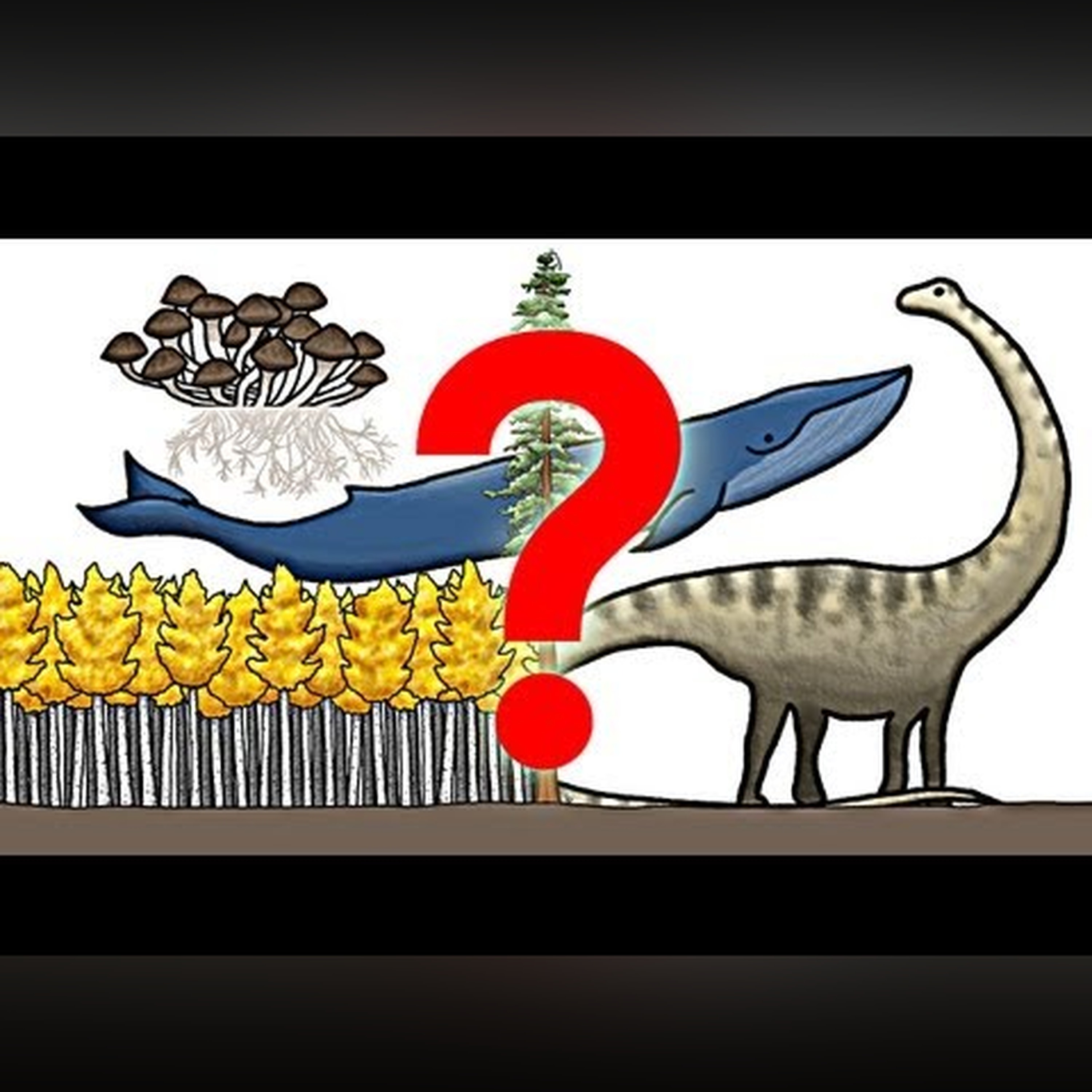 The Biggest Organism on Earth