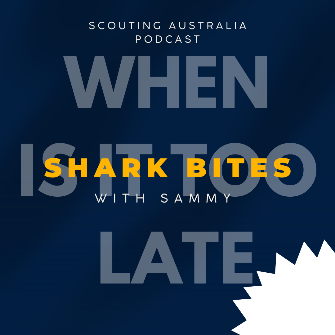 Shark Bites - When is it too late to invest?! episode artwork