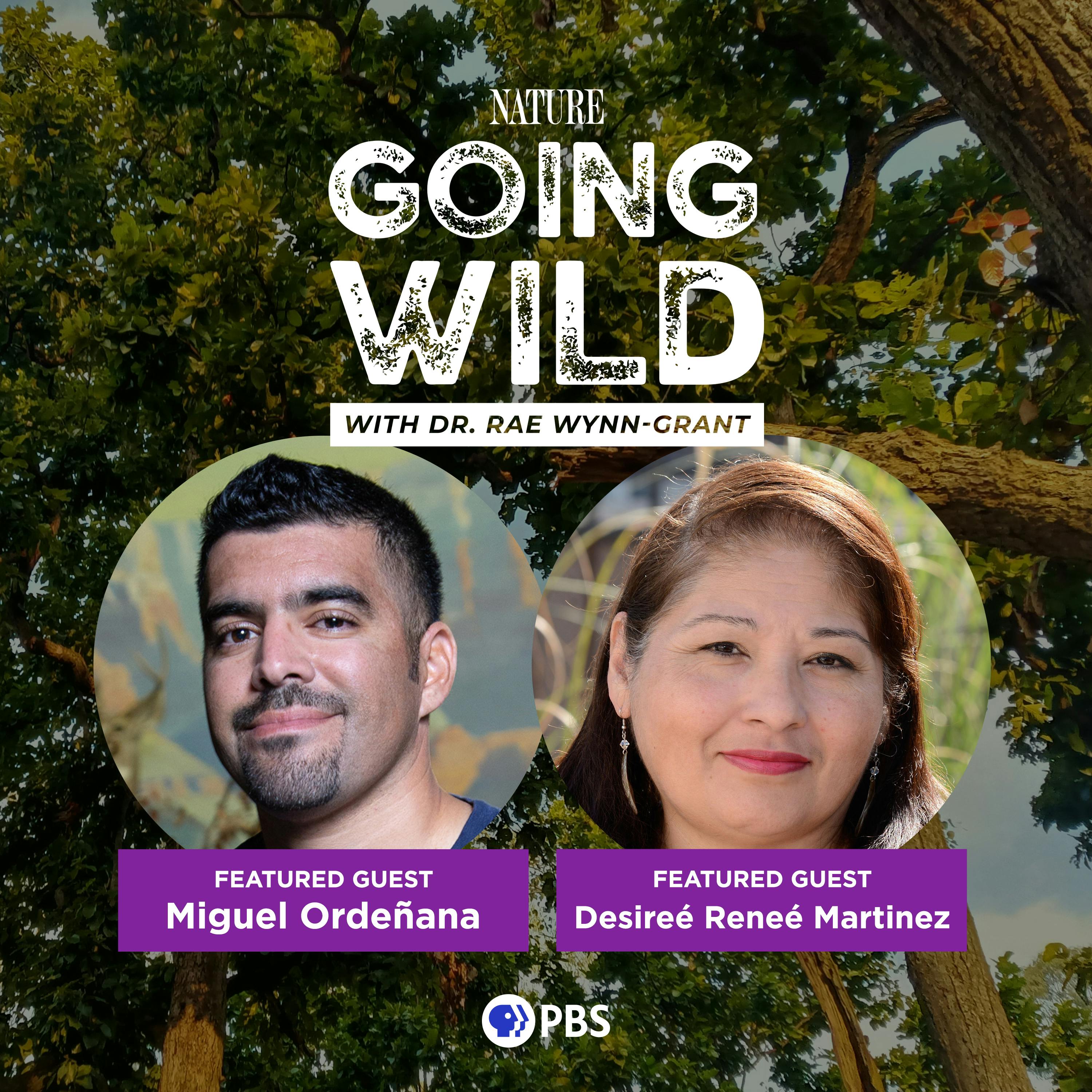 The Untold Story of California's Mighty Predator