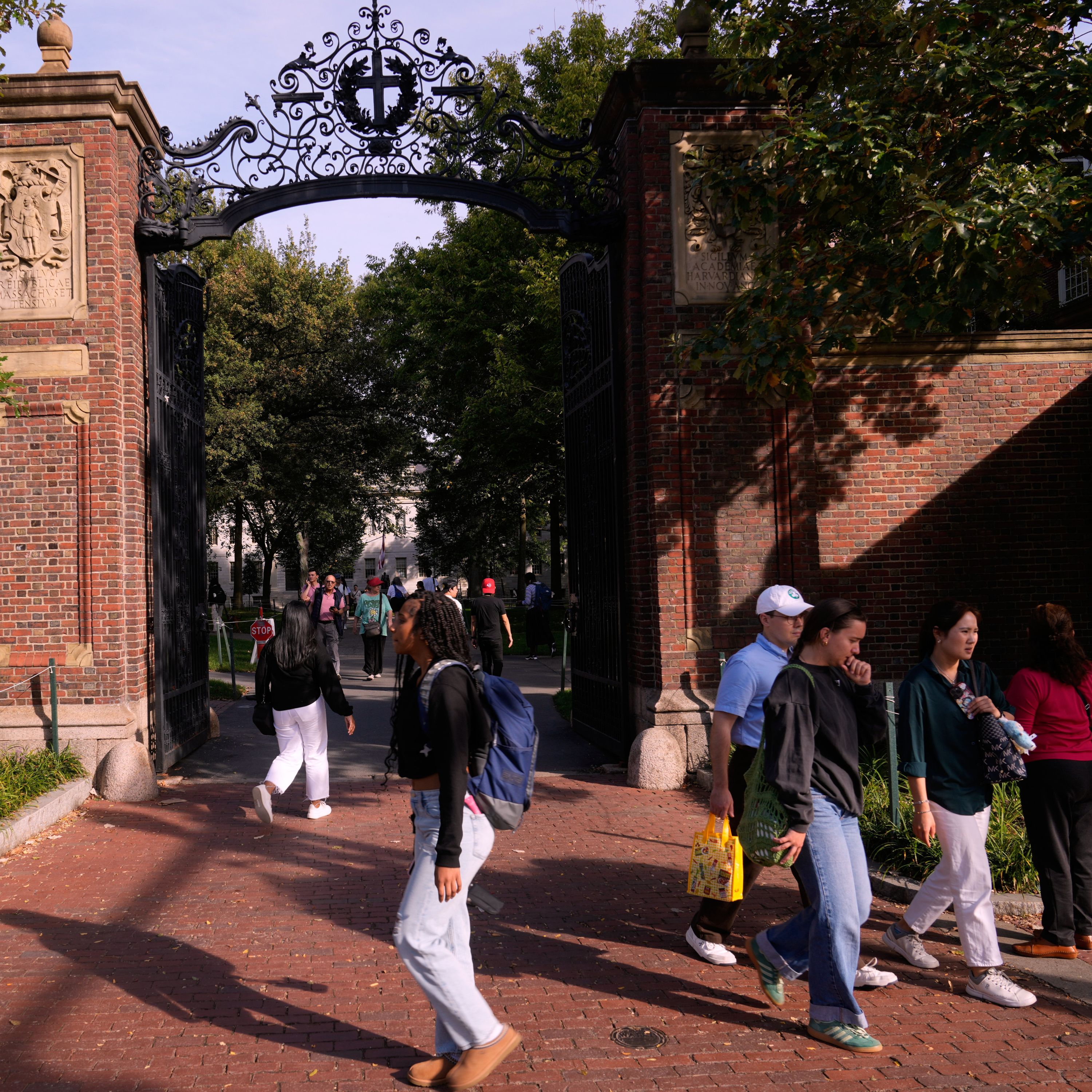 Affirmative Action Ban Shrinks Black Campus Diversity