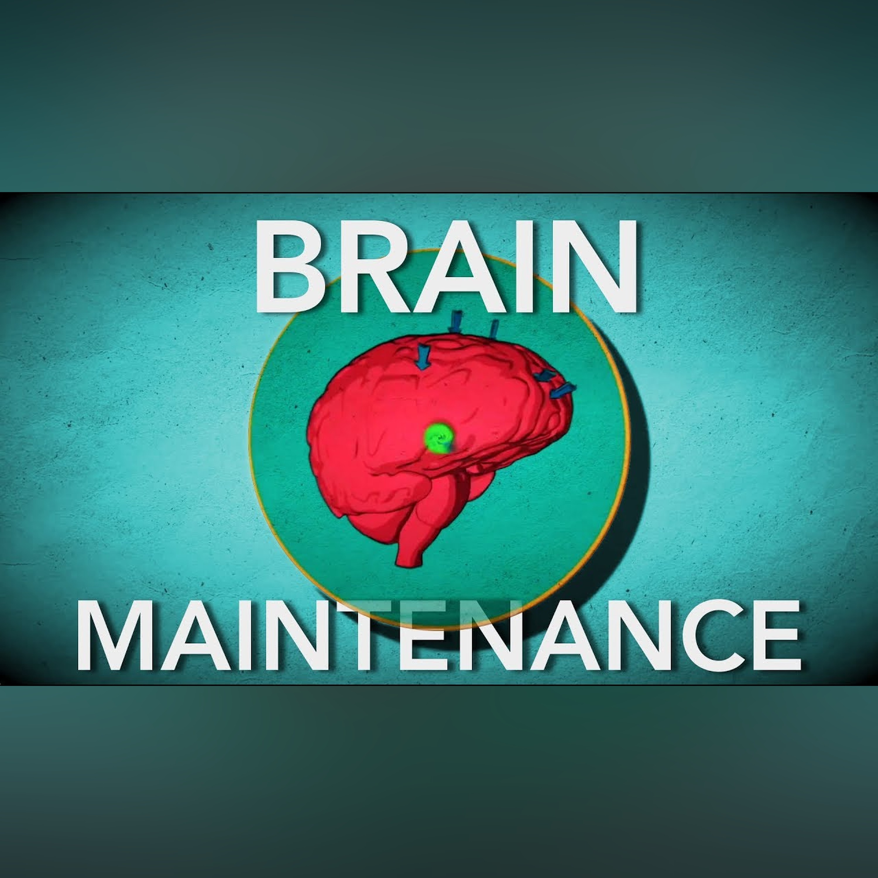 3 Habits to Improve your Brain | Boost Energy and Willpower This Year episode artwork
