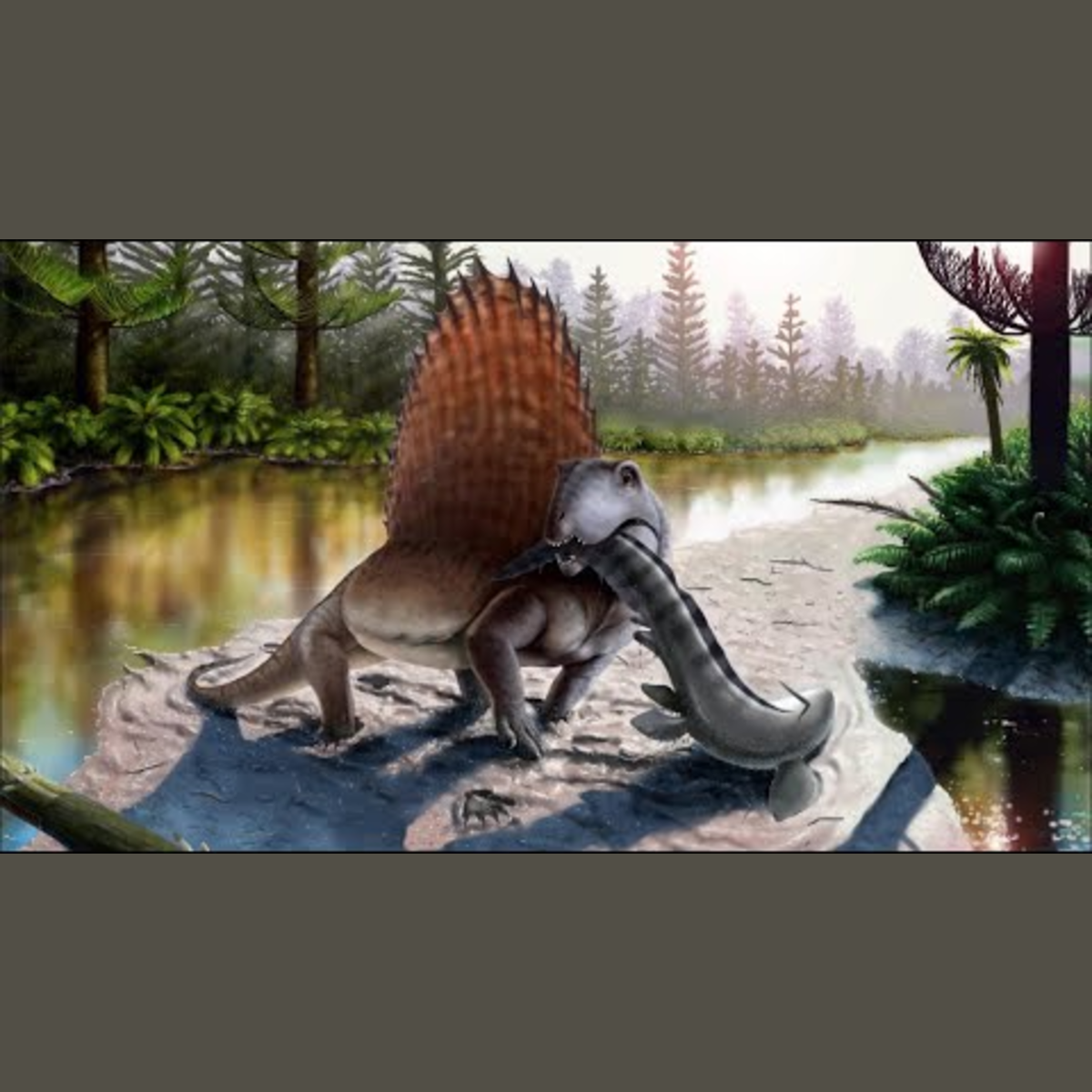 Dimetrodon - Ancient Animal episode artwork