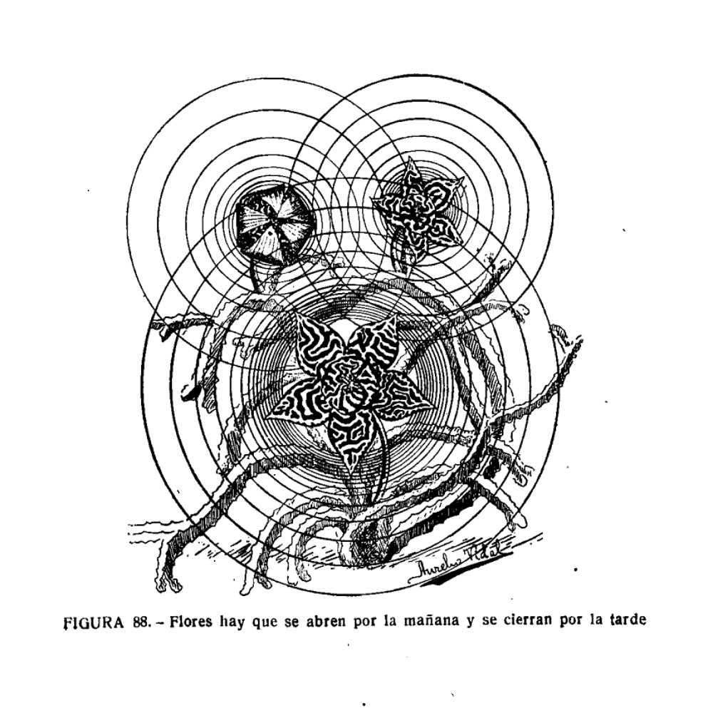 Cantar de los Cantares