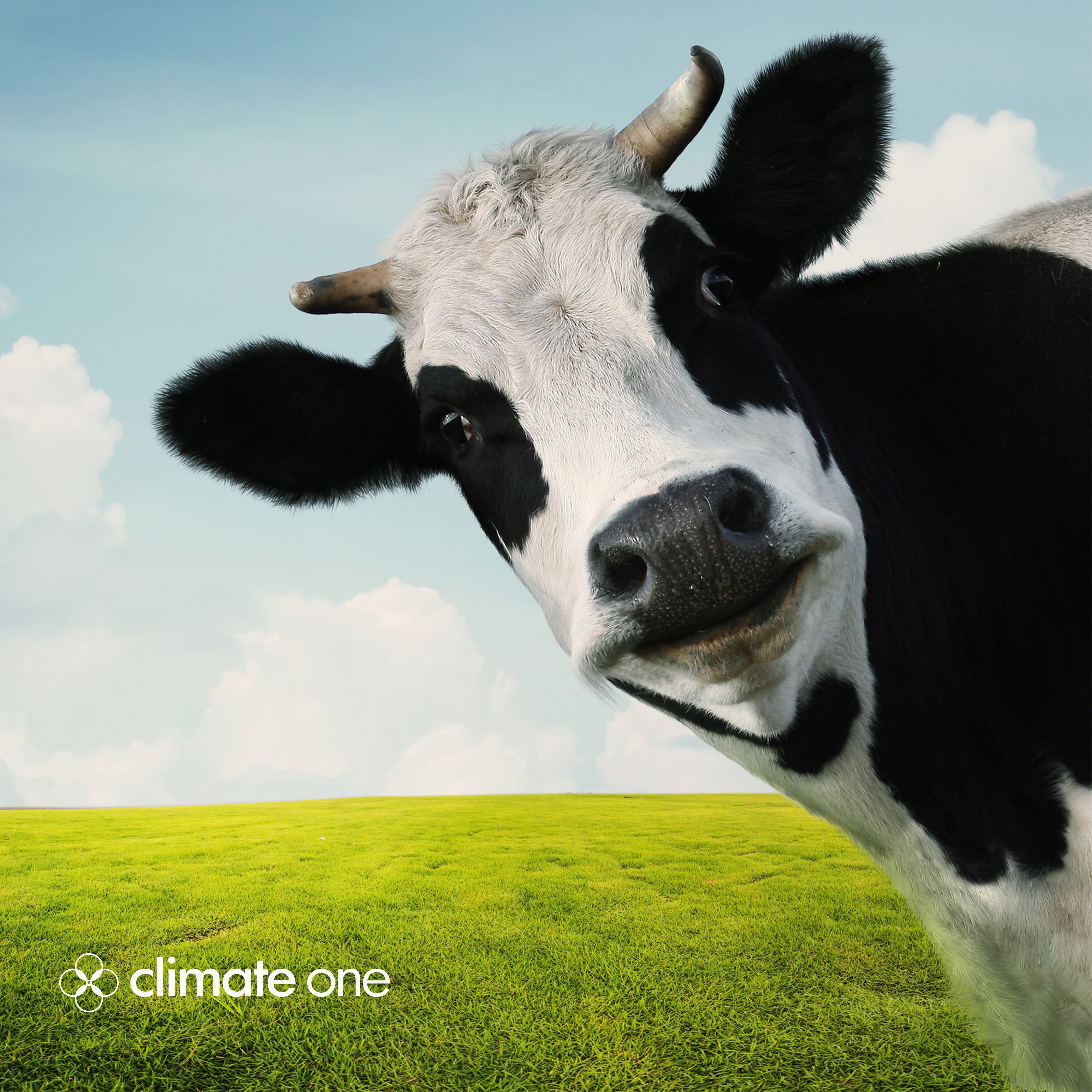 Super Pollutants: The Hidden Half of Global Warming