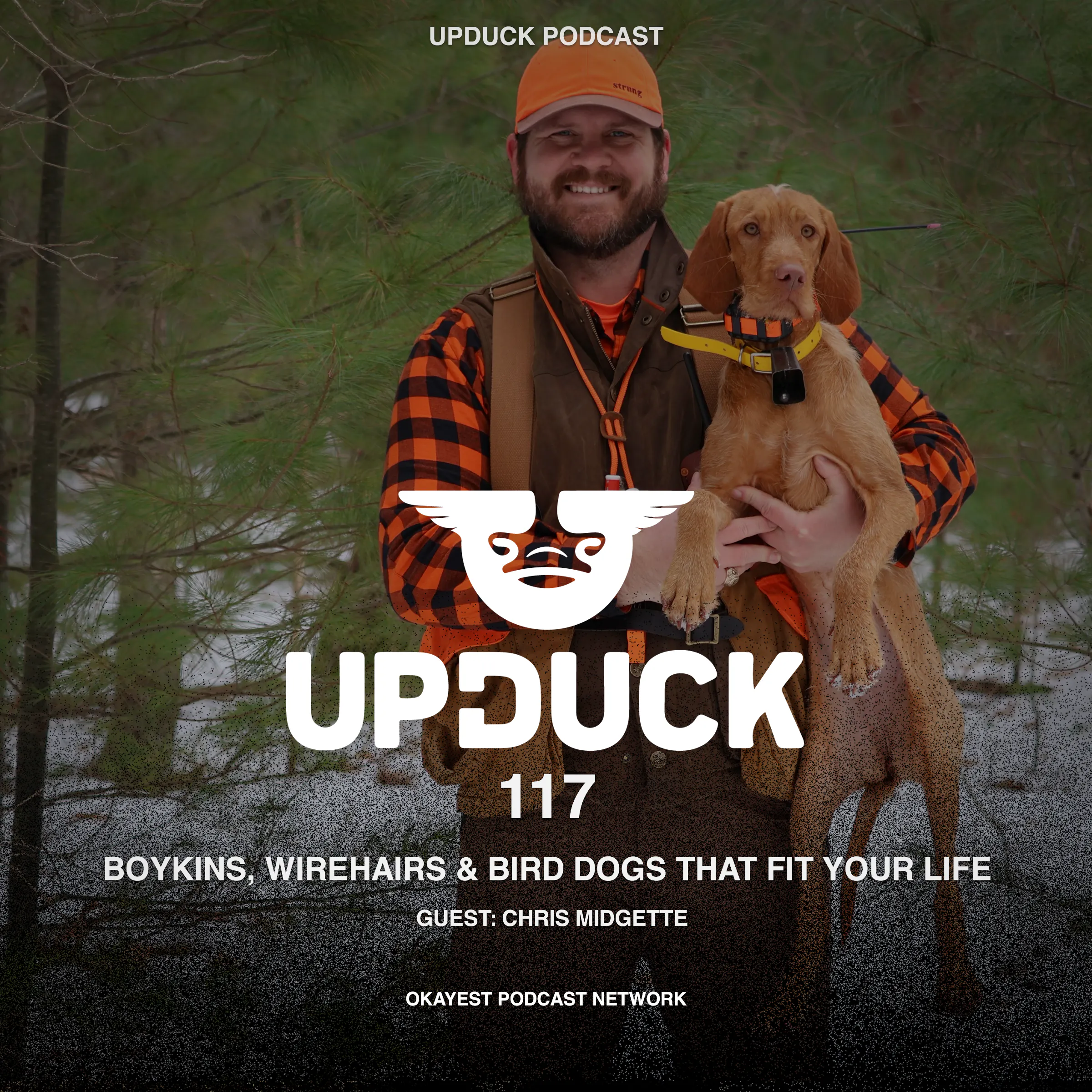 Boykins, Wirehairs & Bird Dogs That Fit Your Life with Chris Midgette episode artwork