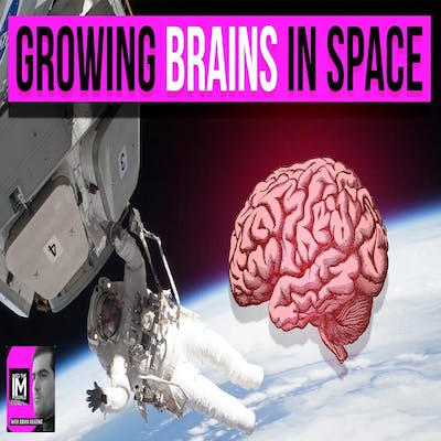 Studying Autism with BRAINS Grown In Space | Alysson Moutri on The INTO THE IMPOSSIBLE Podcast (#304)
