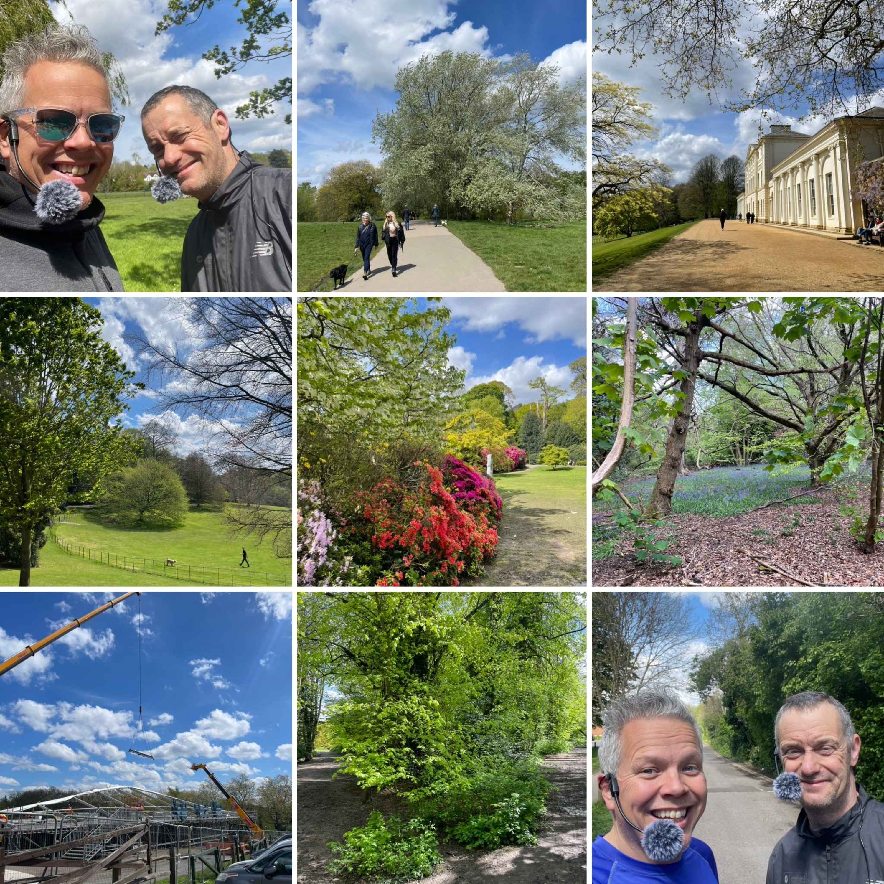 On The Green And Glorious Heath