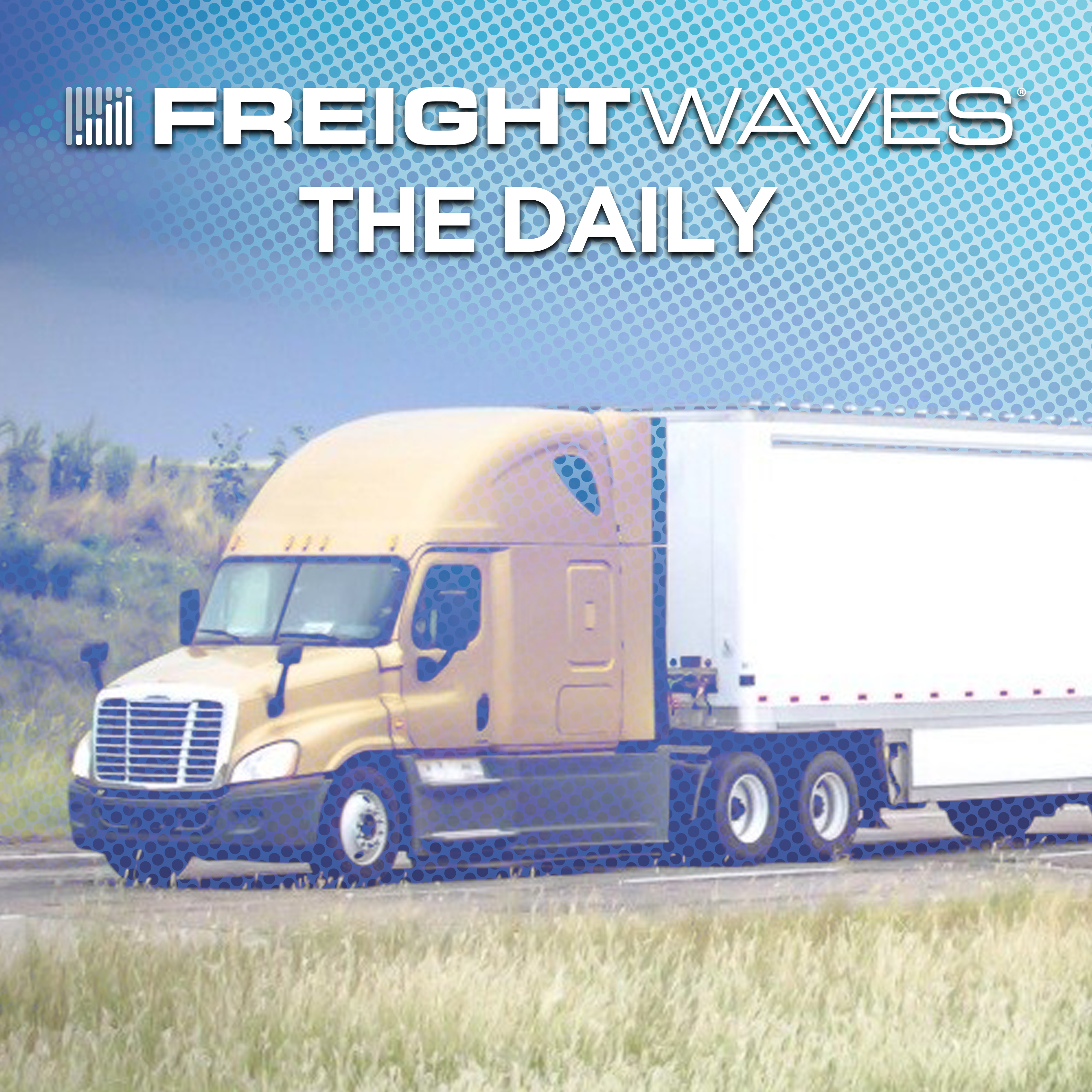 The Daily | December 29, 2025 episode artwork