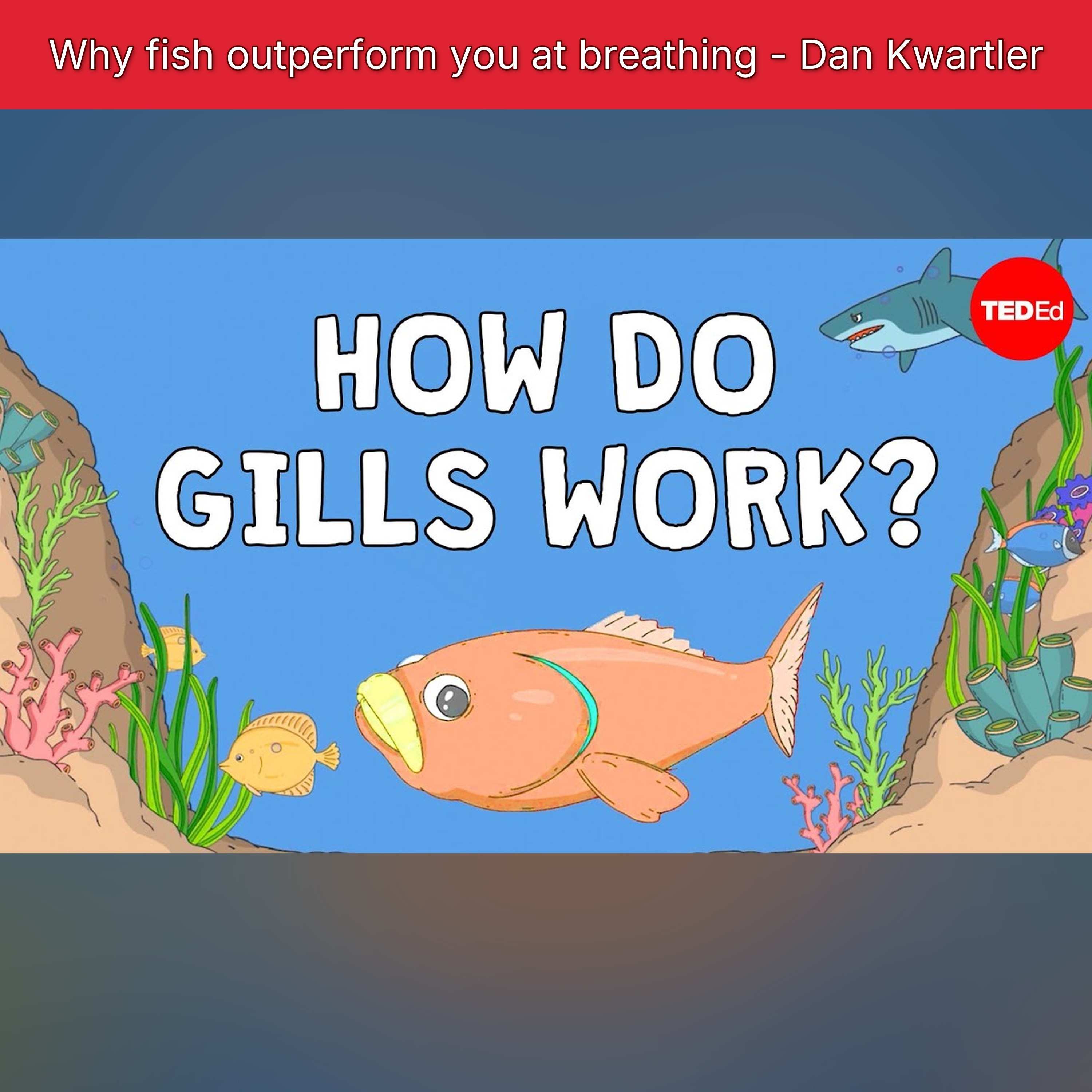 Why fish outperform you at breathing - Dan Kwartler episode artwork