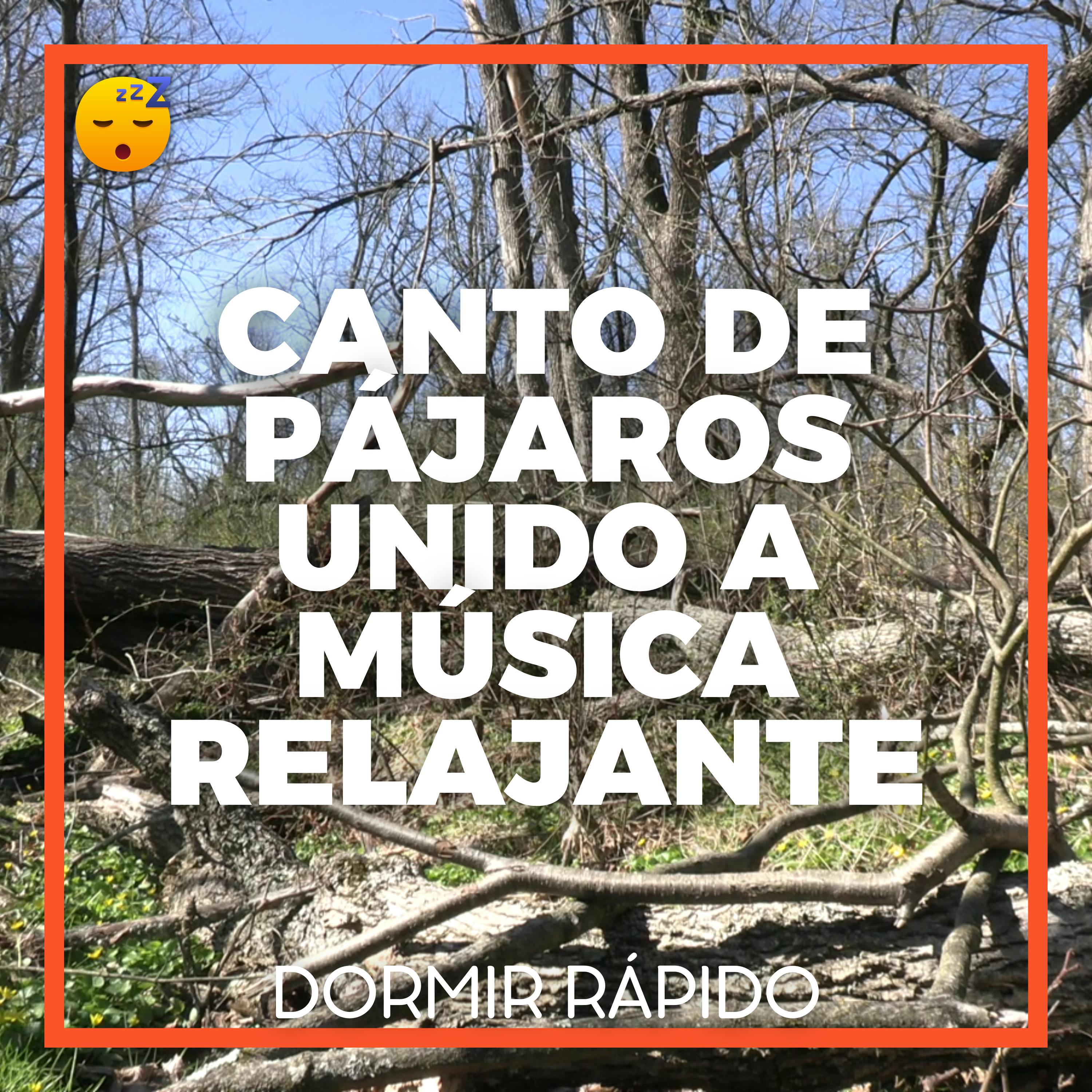 CANTO DE PÁJAROS Unido a MÚSICA Relajante para un SUEÑO Profundo episode artwork