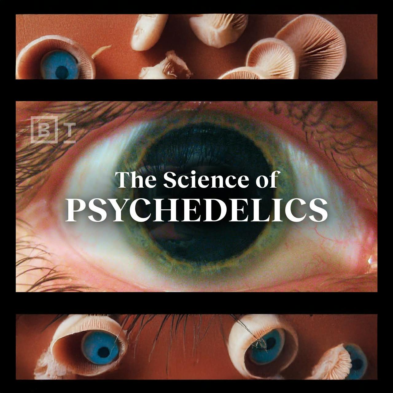 How psychedelics work, explained in under 6 minutes | Matthew Johnson How psychedelics work, explained in under 6 minutes | Matthew Johnson