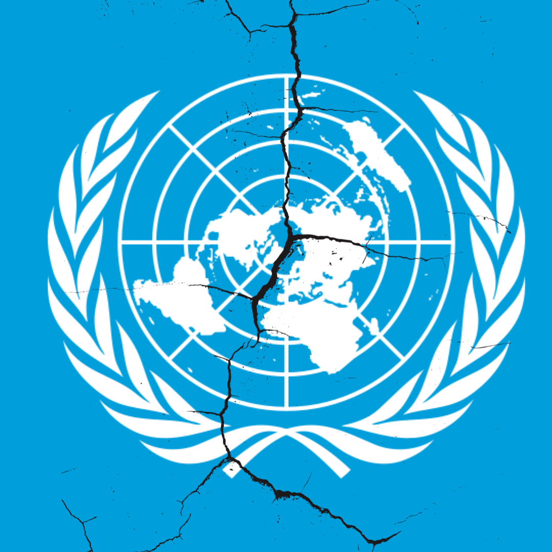 223. La crisis de la ONU