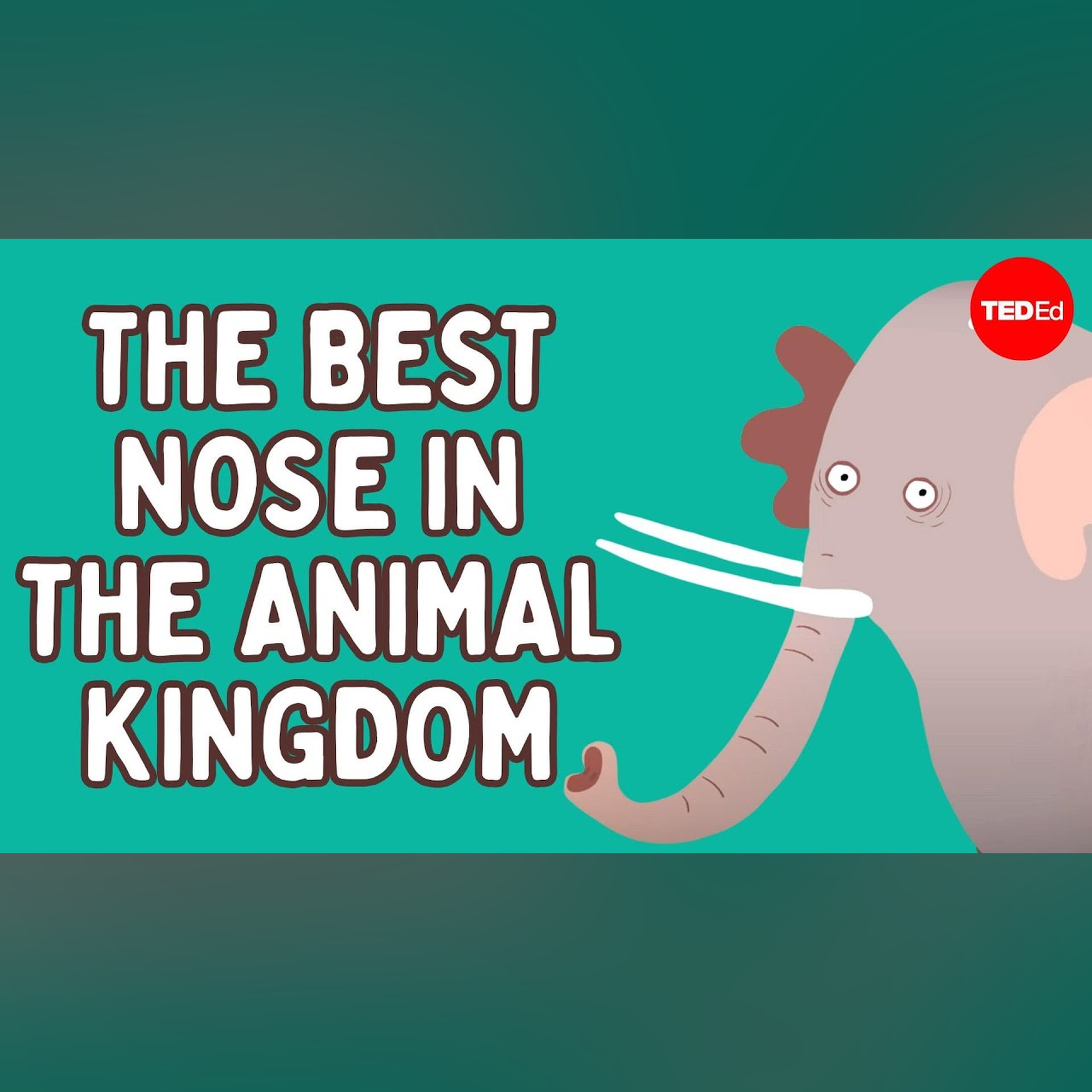 The best nose in the animal kingdom - Chase LaDue and Bruce A. Schulte