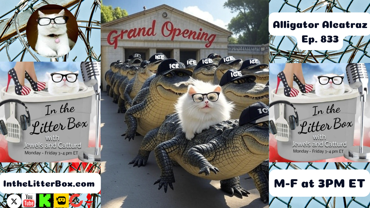 Alligator Alcatraz | In the Litter Box w/ Jewels & Catturd – Ep. 833 – 7/1/2025