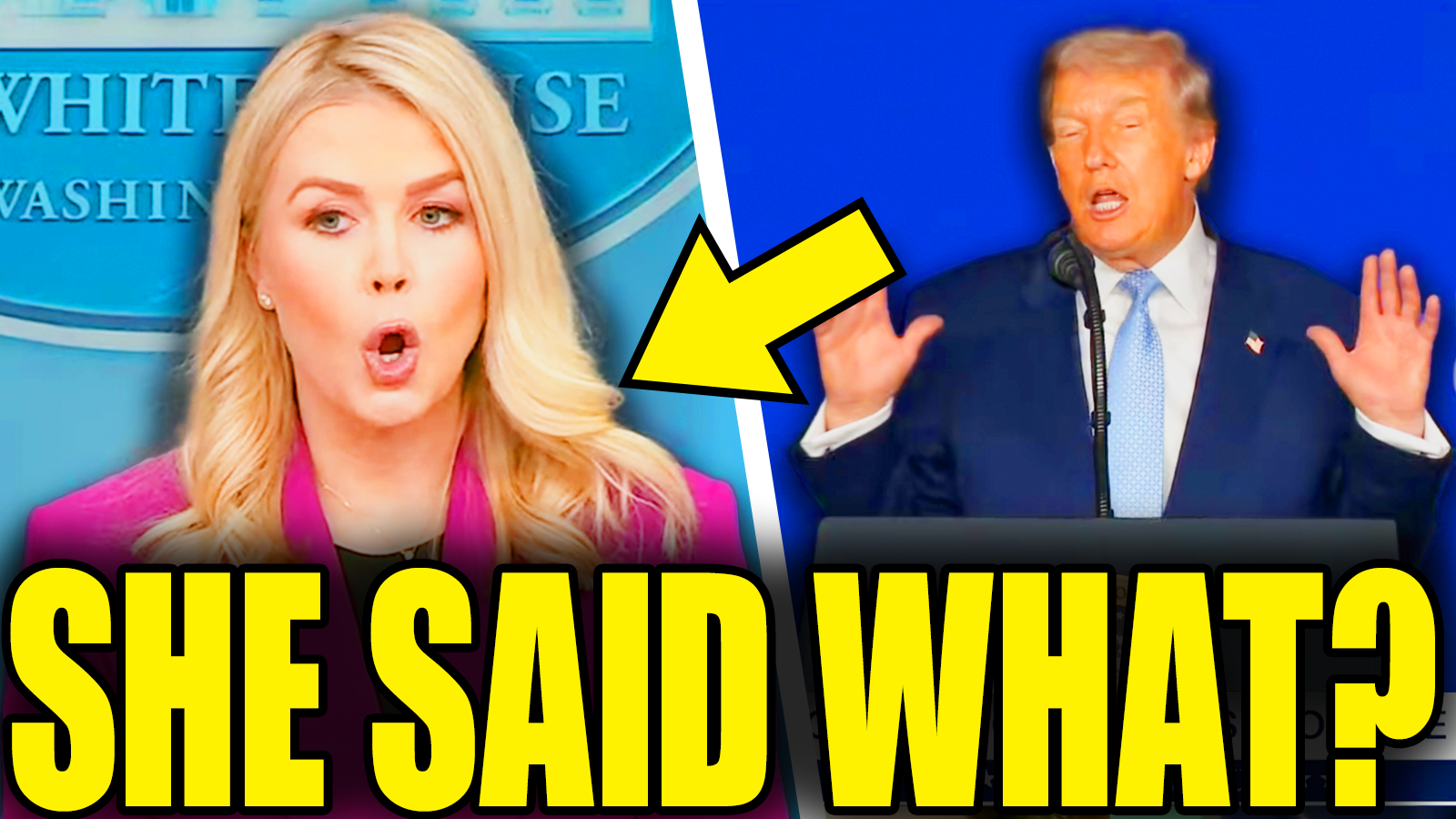 Collapsing Leavitt Explodes In Swearing Tantrum As Trump Ruins Term episode artwork