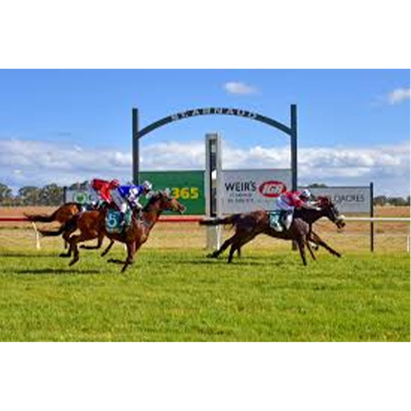 St Arnaud Turf Club's Penny Penfold chats to Andrew Kuuse re cup meeting episode artwork