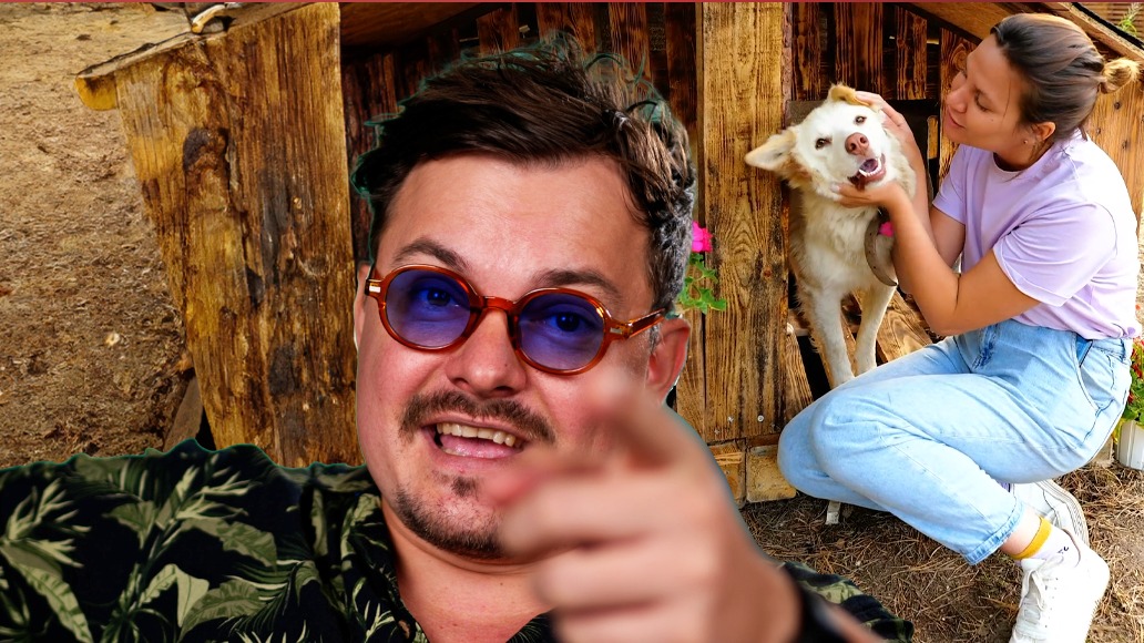 REACTS to Build cozy home for your dog out of pallets! episode artwork