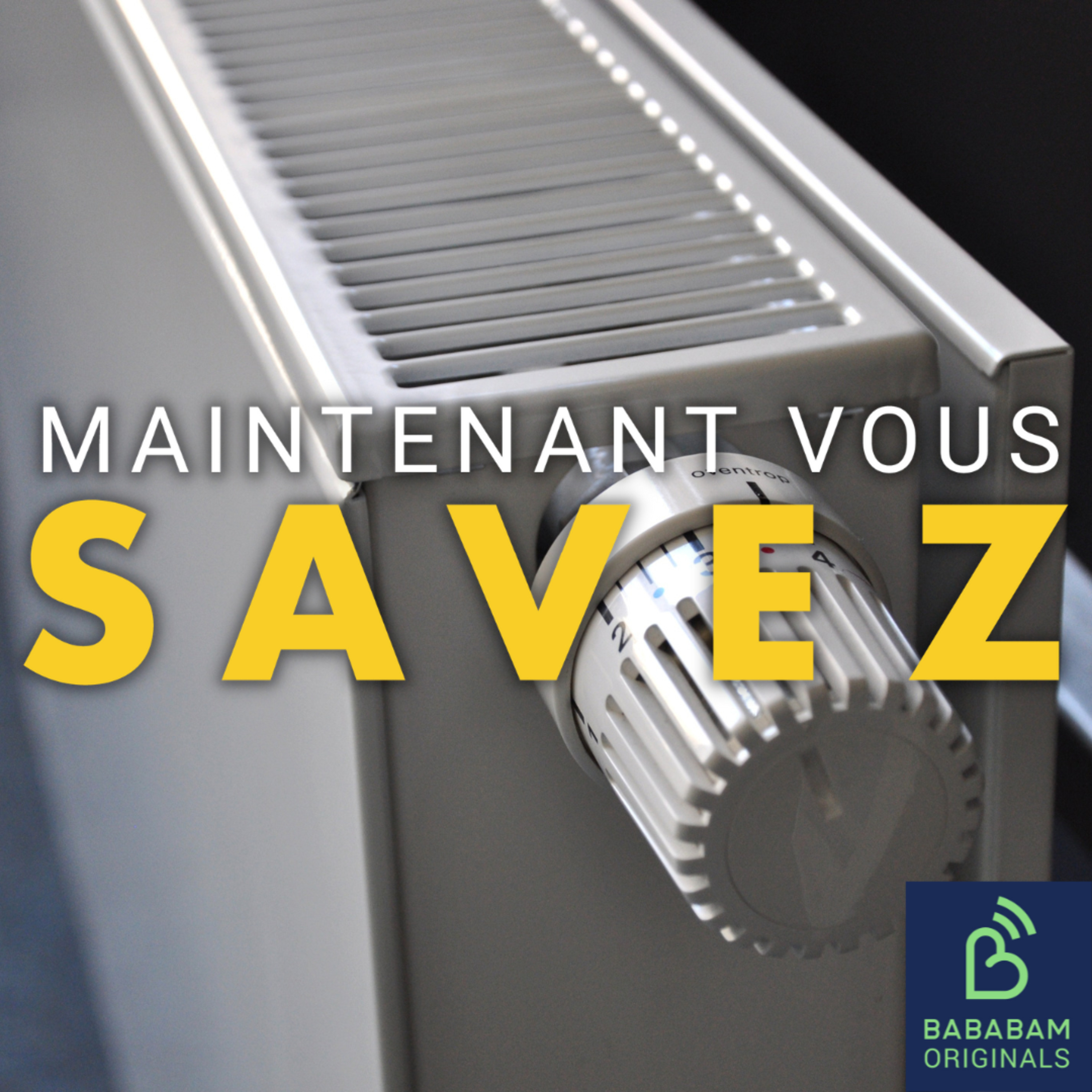 Quand faut-il rallumer le chauffage pour faire des économies ? 