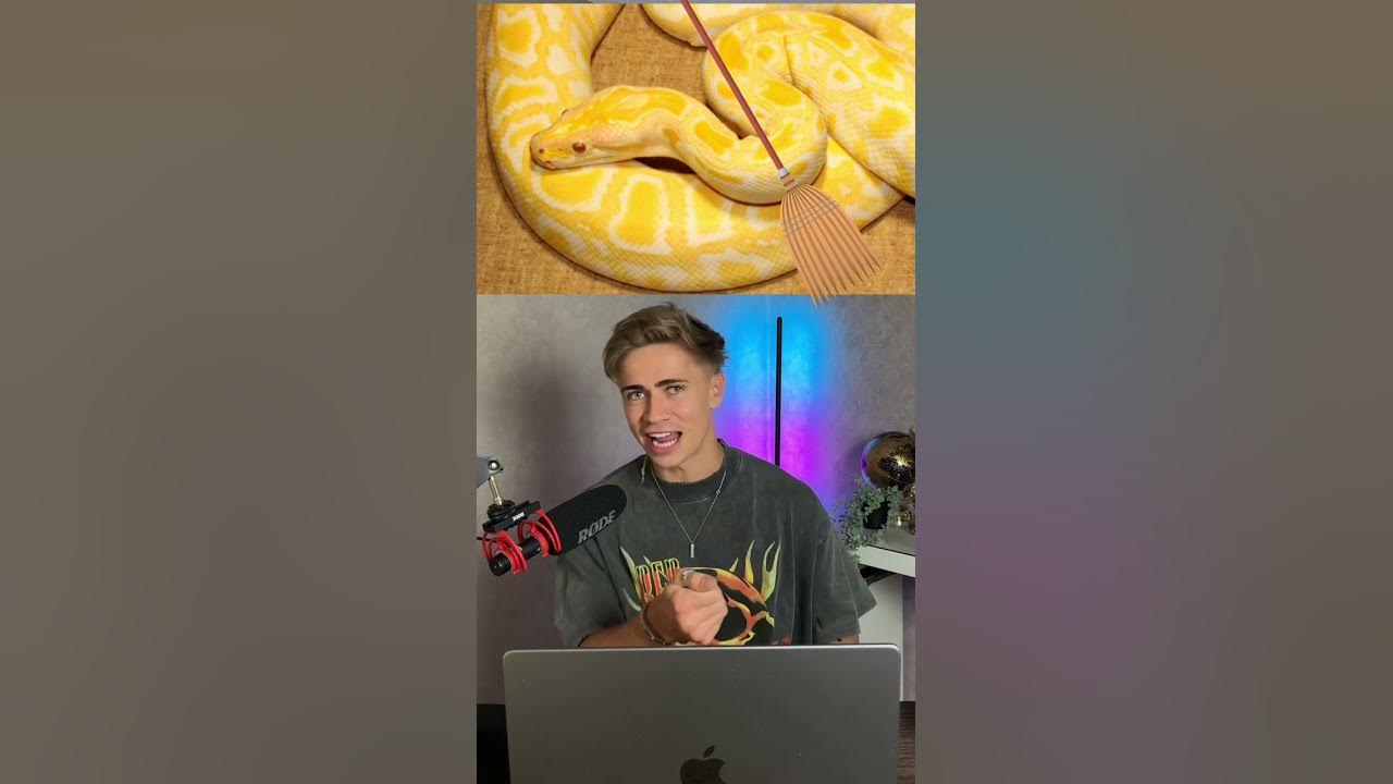 The LAST Animal You Want to ESCAPE!!😳😨 | Dylan Page