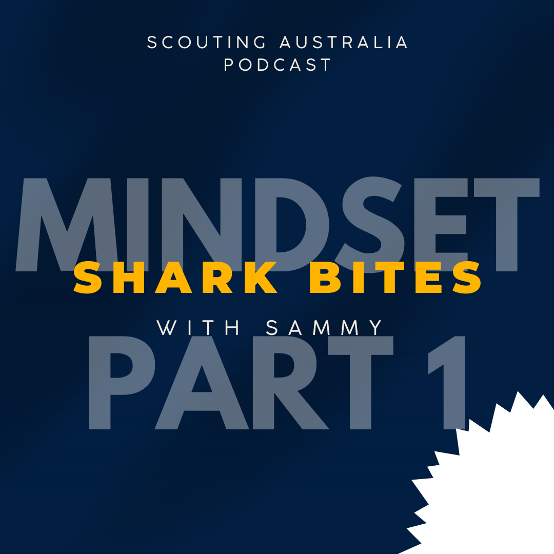 Shark Bites - Dealing with the $#!% Side Of Property episode artwork