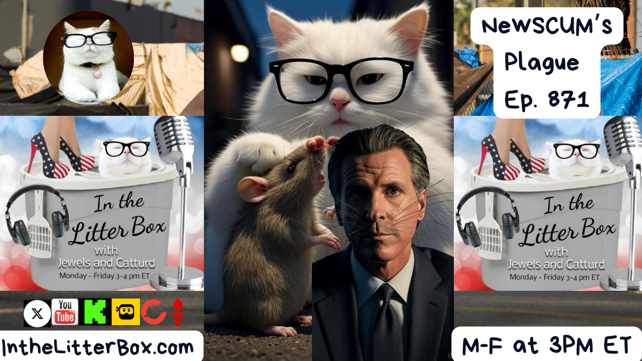 NewSCUM's Plague | In the Litter Box w/ Jewels & Catturd – Ep. 871 – 8/26/2025