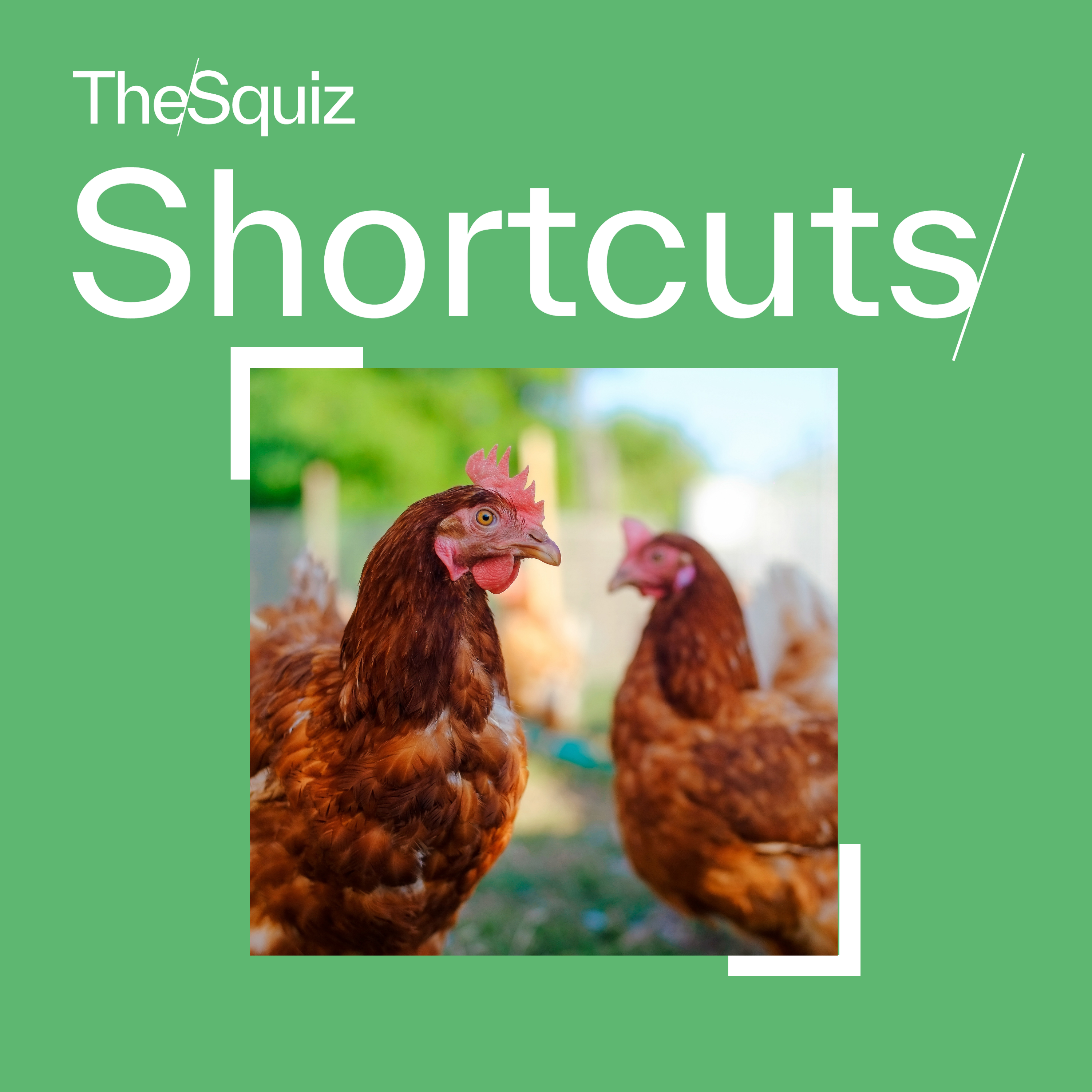 Your Shortcut to... Bird flu
