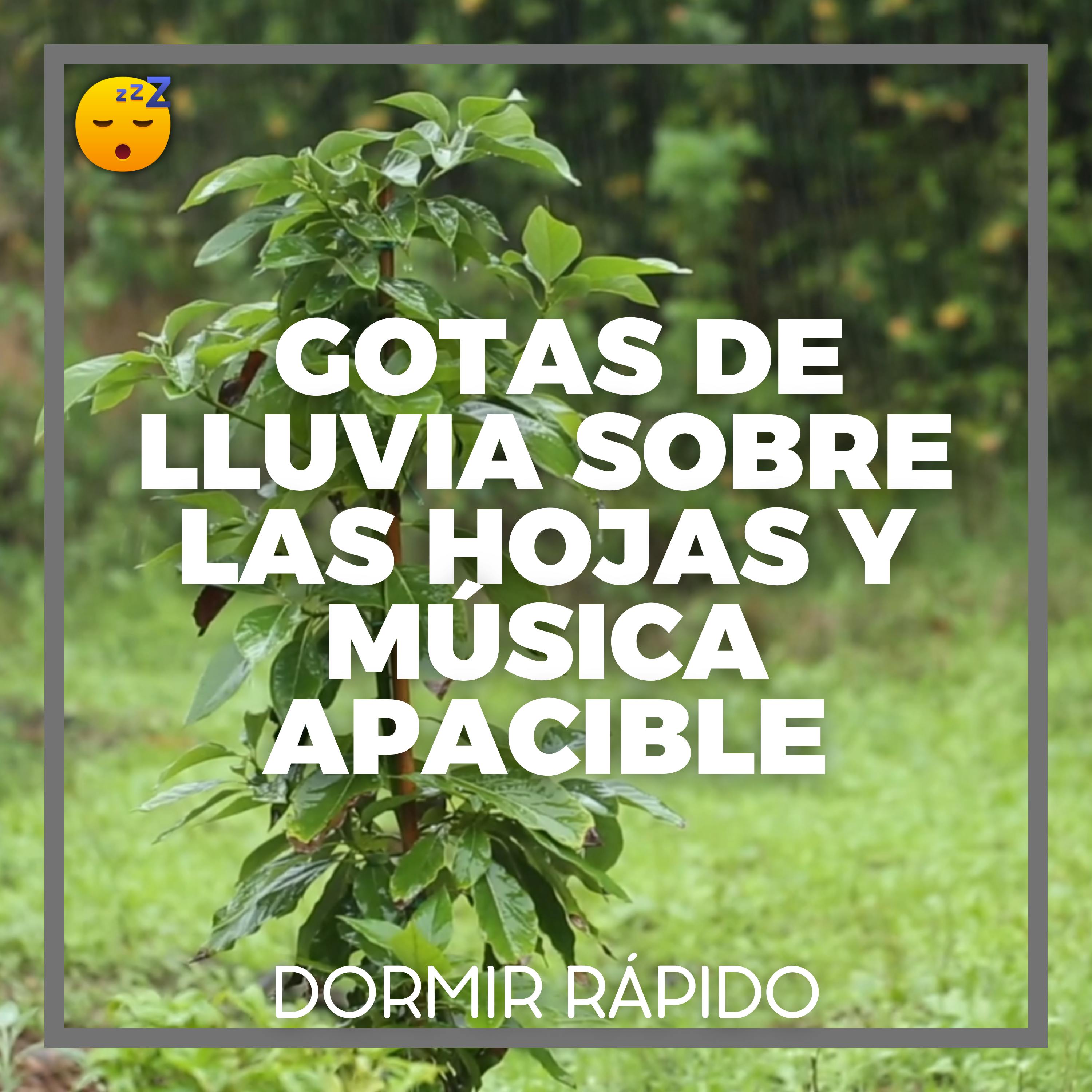 ️ DUÉRME con el Sonido de Gotas de LLUVIA sobre las Hojas y MÚSICA Relajante episode artwork