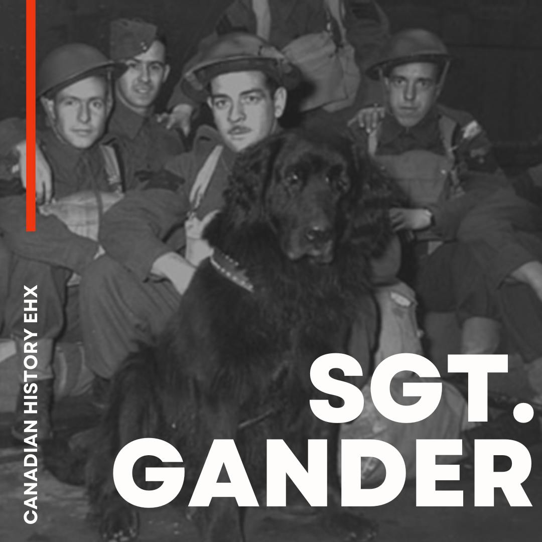 Sgt. Gander
