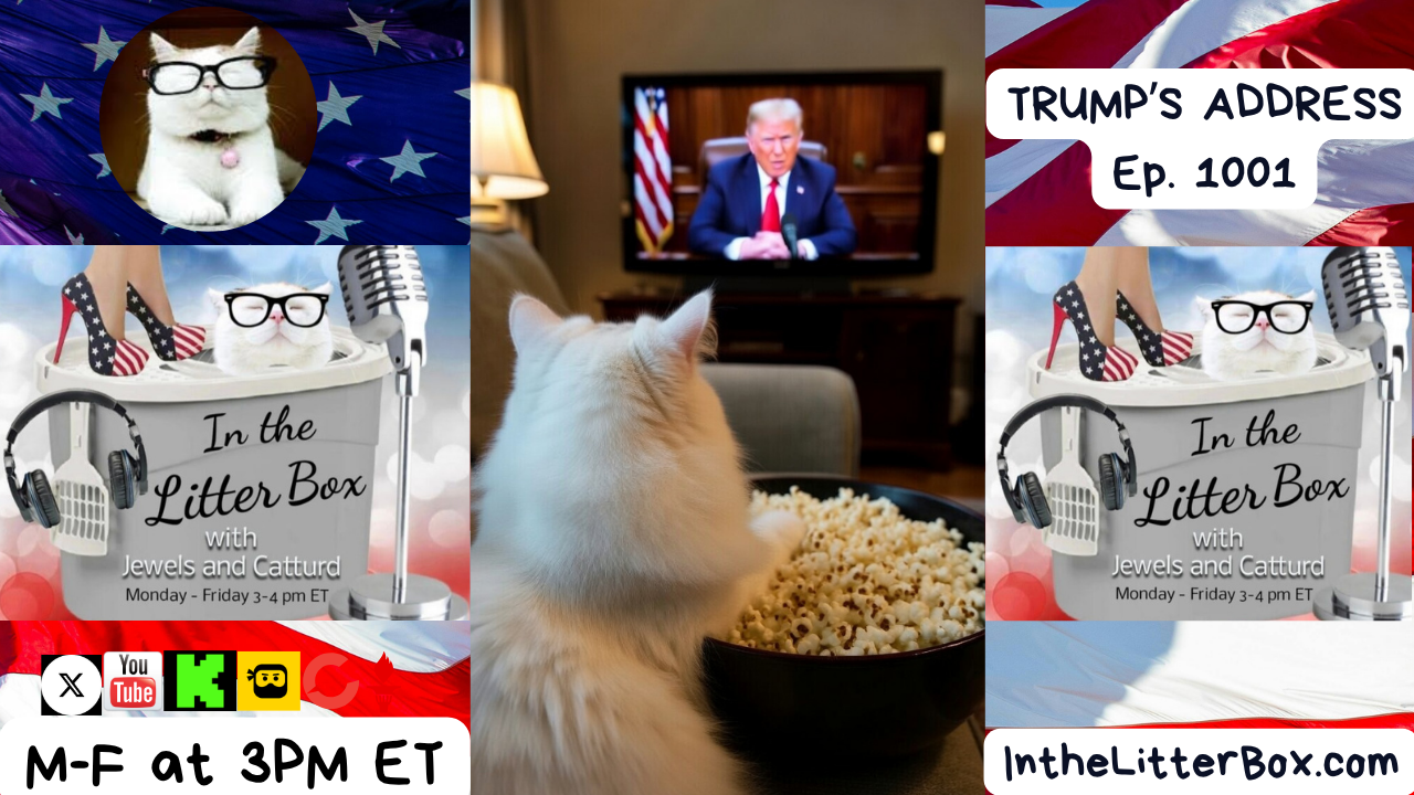 Trump's Address | In the Litter Box w/ Jewels Jones & Catturd – Ep. 1001 4/2/2026