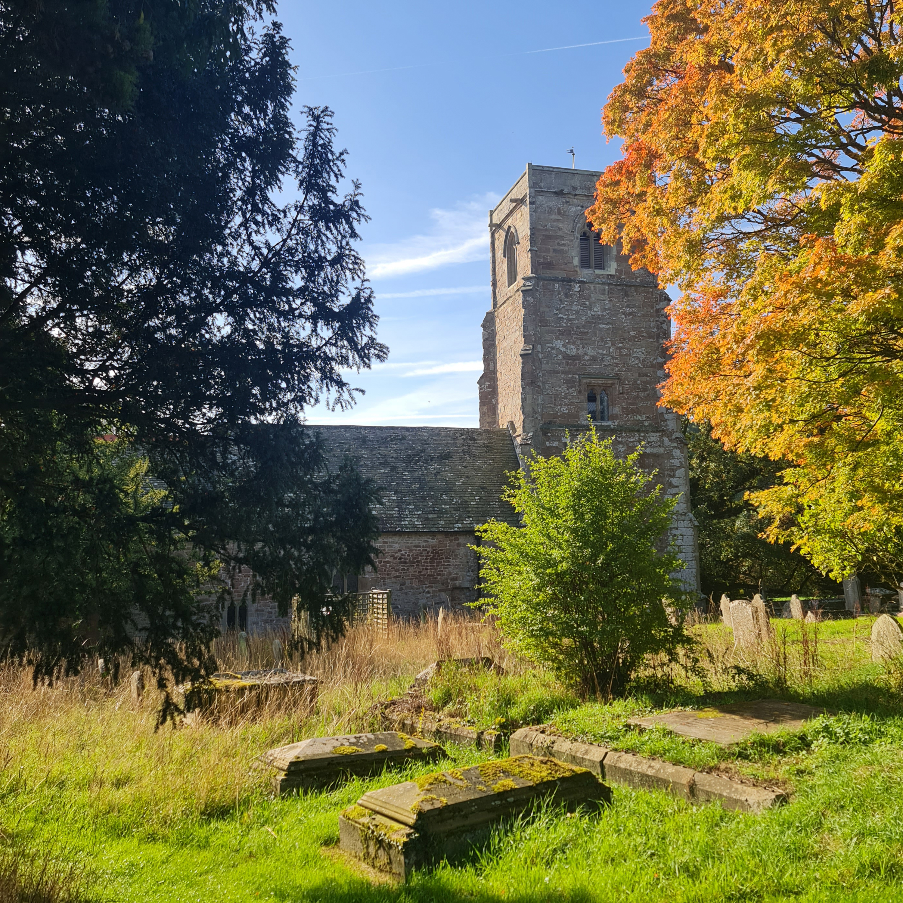 Sound Escape 243. The sounds of an English churchyard in early autumn