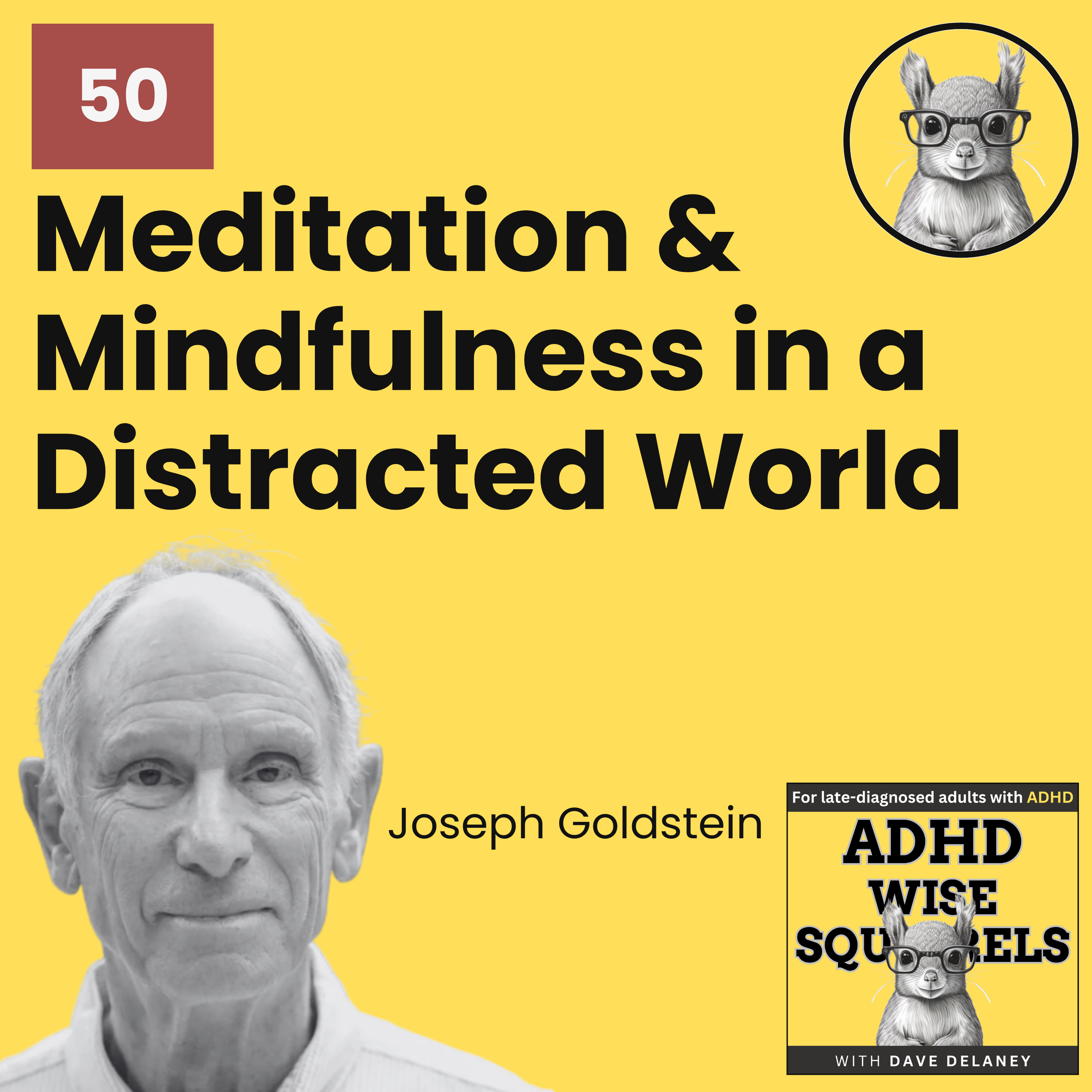 ADHD Wise Squirrels for late-diagnosed adults with ADHD.