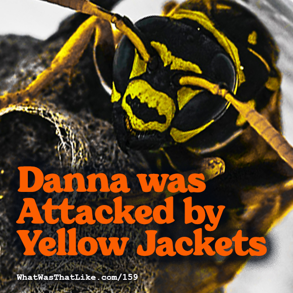 What Was That Like - True Stories. Real People.