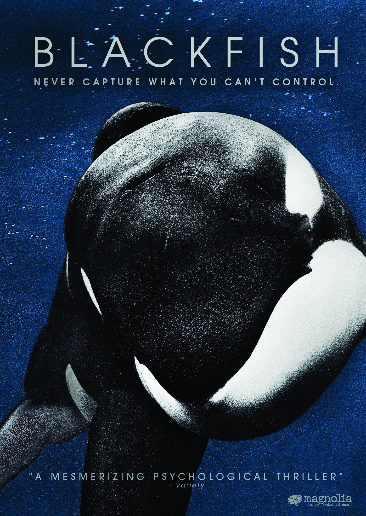 Ep #073 Blackfish with Books And Rhymes, Post Colonial Child, and Book Shy Books from Not Another Book Podcast episode artwork