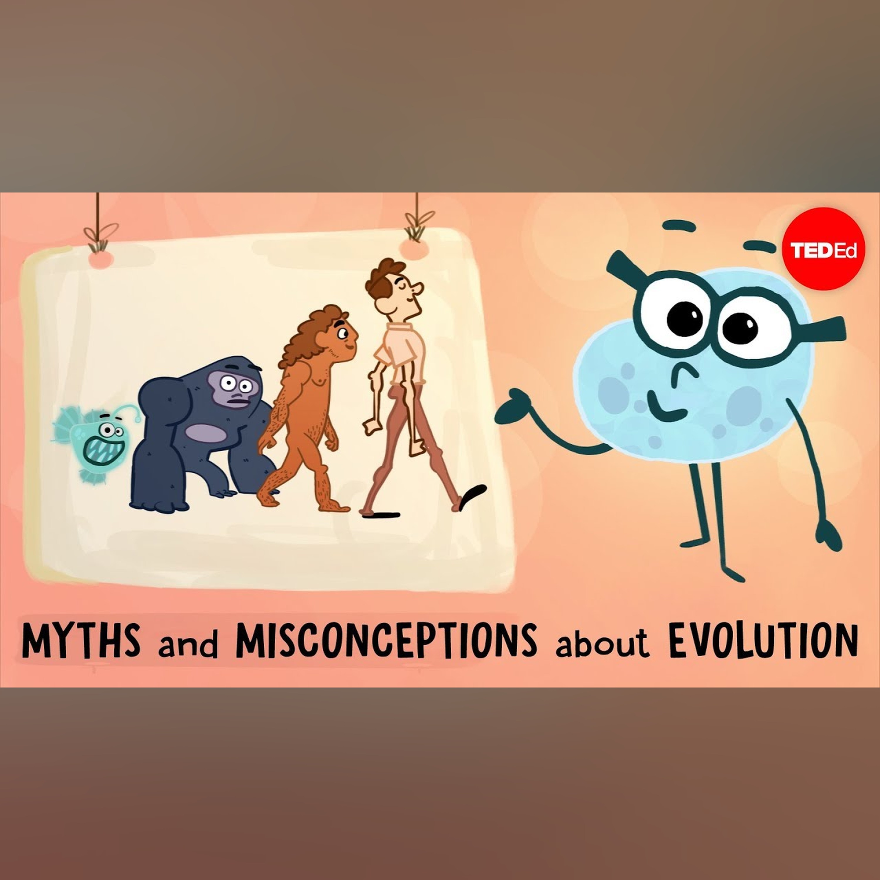 Myths and misconceptions about evolution - Alex Gendler episode artwork