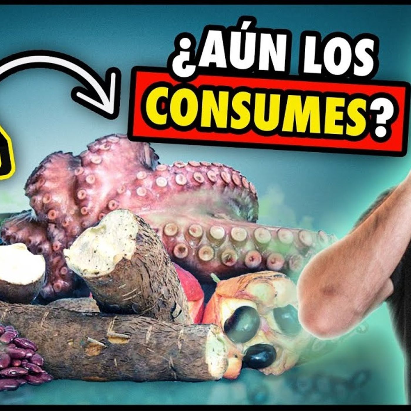 PUEDEN MATARTE⚠️☠️Estos son los ALIMENTOS más PELIGROSOS del MUNDO episode artwork